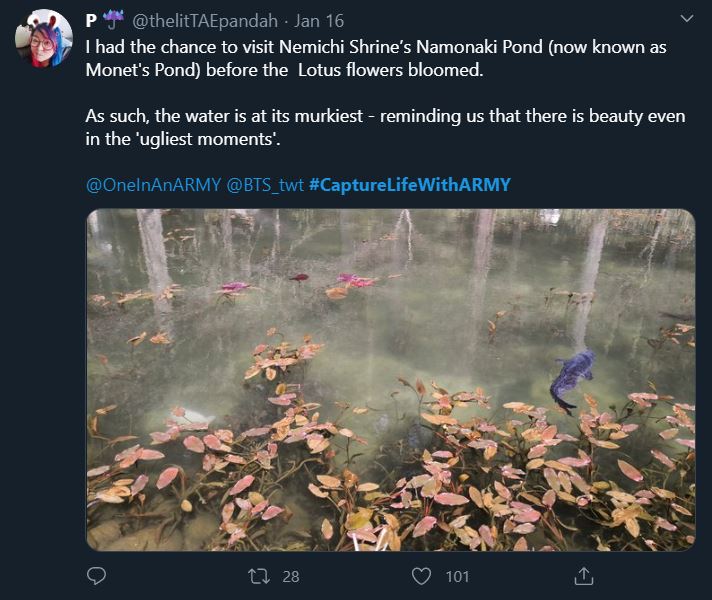 Tweet from an ARMY participating in the Bonus Mission Capture Life With ARMY. Photo shows Nemichi Shrine's Namonaki Pond (now known as Monet's Pond) before the lotus flowers bloomed. The ARMY states that prior to the lotus flowers blooming the water is at its murkiest - reminding us that there is beauty even in the ugliest moments. The water is quite murky but you can still see a blue-black forearm sized fish swimming past the lotus plants.