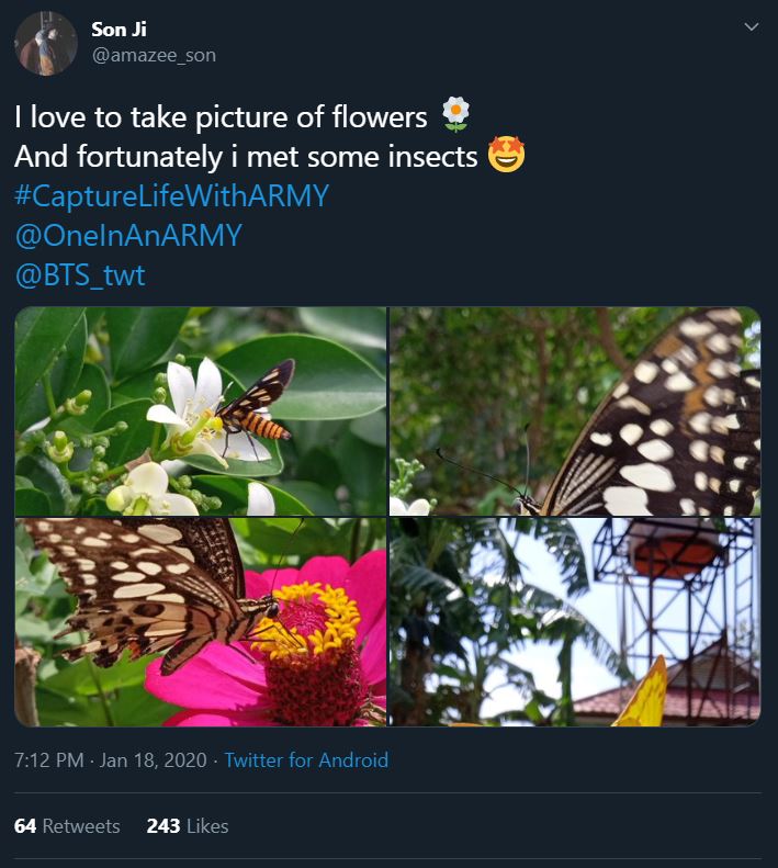 Tweet from an ARMY participating in the Bonus Mission Capture Life With ARMY. The four photos show close-ups of flowers and pollinator insects. The first photo shows a white flower with a striped insect drinking the nectar. The second photo shows a close-up of a brown spotted butterfly. The third photo shows a brown spotted butterfly drinking the nectar from a pink zinnia. The fourth photo preview cuts of the subject, but it appears to be a close-up of a yellow butterfly.