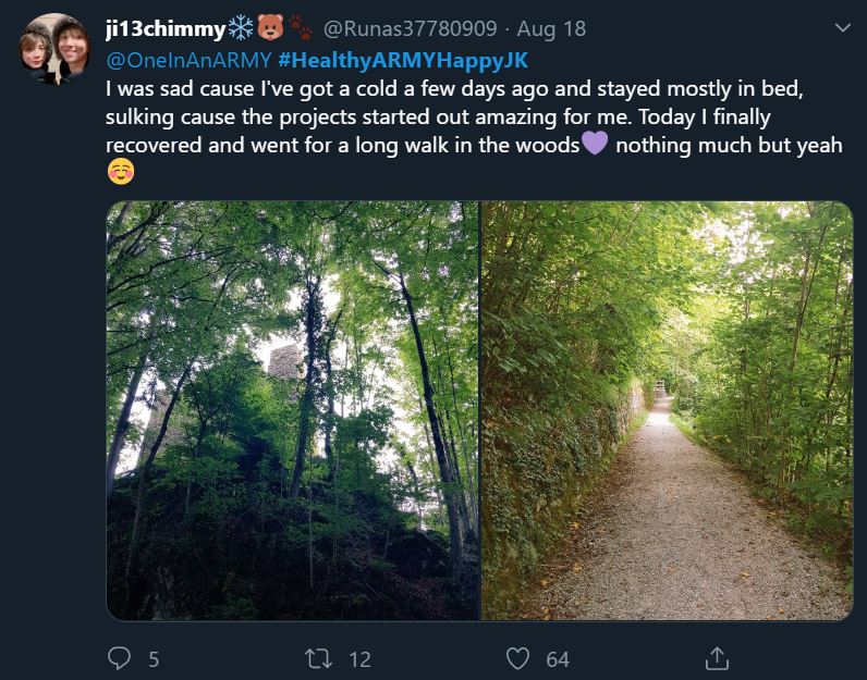 Tweet showing an ARMY participating in the bonus mission Healthy ARMY Happy Jungkook. The tweet states that the ARMY had been sick with a cold but had recovered enough to go for a long walk in the woods. The tweet includes photos they took on their walk, showing skinny tall trees lining a gravel path.