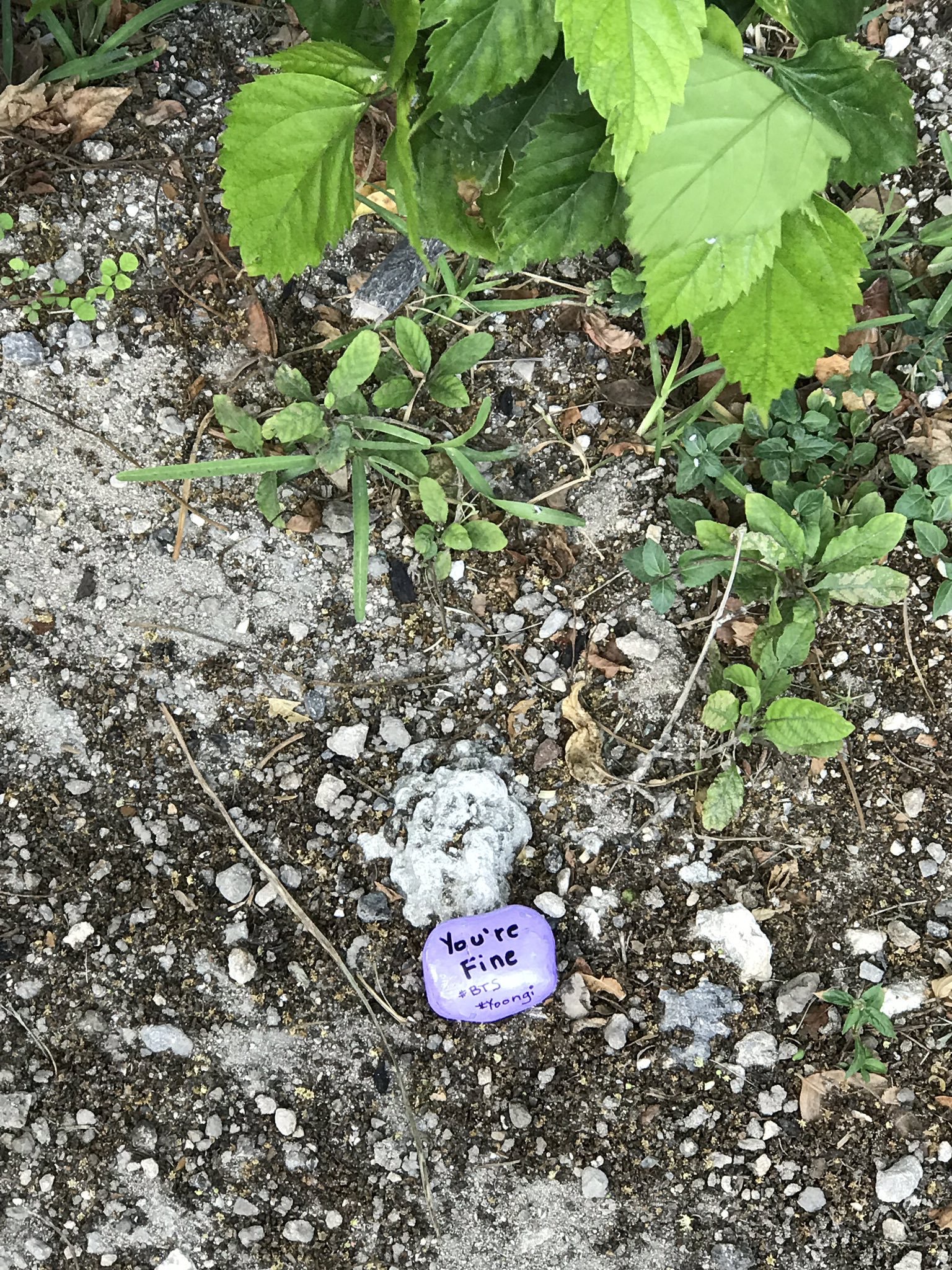 A photo of a rock painted purple and placed in a garden with some low growing plants. The rock has the words "you're fine #BTS #Yoongi" on it