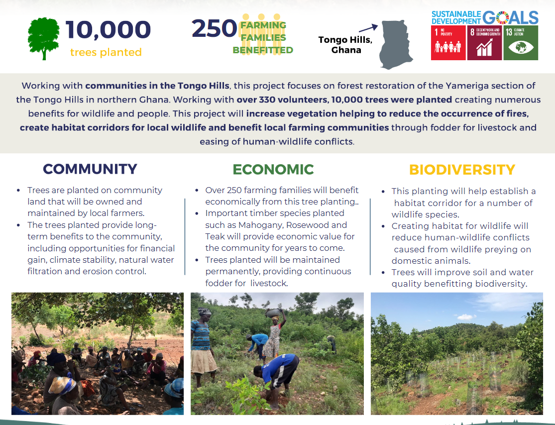 Poster detailing the trees ARMY funded in Australia through We Purple Earth. One Tree Planted worked with over 330 volunteers in the Tongo Hills. The project will increase vegetation which will help to reduce the occurrence of forest fires, create habitat corridors for local wildlife, and benefit local farming communities through fodder for livestock and easing of human-wildlife conflicts.