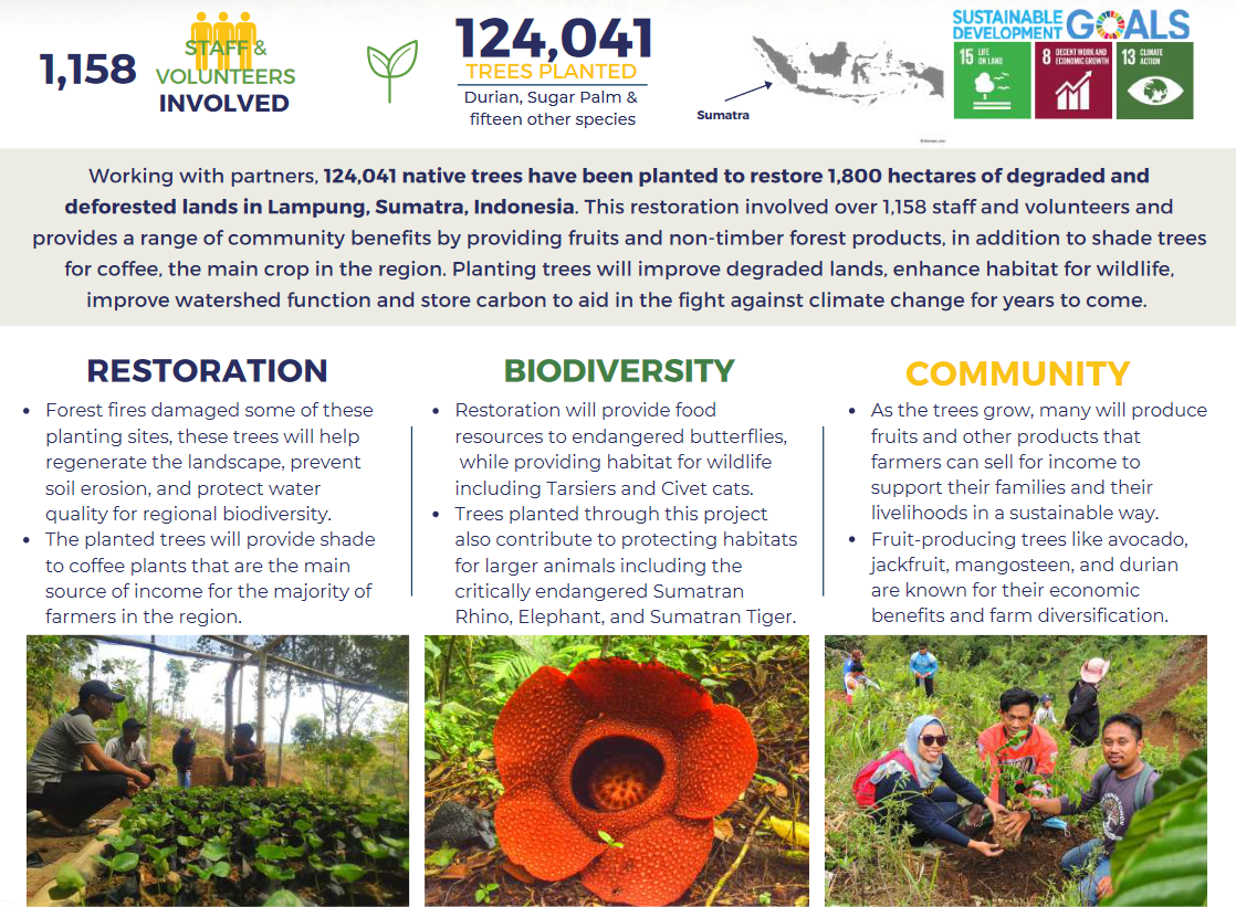 Poster detailing the trees ARMY funded in Australia through We Purple Earth. One Tree Planted worked in Lampung, Sumantra, Indonesia. The project involved over 1,158 staff and volunteers and planted Durian, Sugar Palm, and fifteen other species.