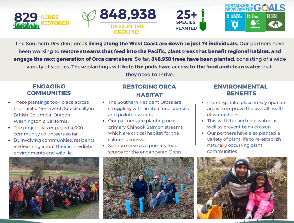 Poster detailing the trees ARMY funded in Australia through We Purple Earth. One Tree Planted worked to restore streams that feed into the Pacific Ocean and plant trees that benefit regional habitat and engage the next generation of Orca whale caretakers. The project engaged 4,000 volunteers.